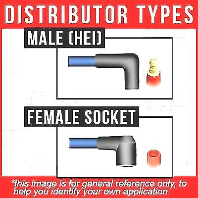5597697